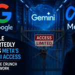 META Gemini Access