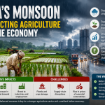 How India's Monsoon Is Affecting Agriculture and the Economy